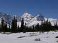 Rocky Mountain scene